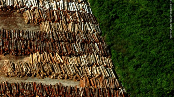 La destrucción de la Amazonia alcanzó un nuevo récord: informe desde Brasil