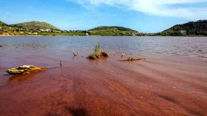 Imágenes desde el espacio muestran cómo se tiñó de rojo un lago en Italia