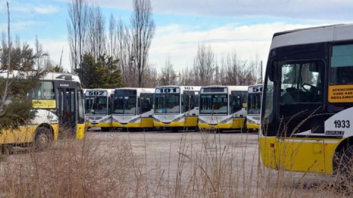 Autobuses Neuquén: denuncian el estado deplorable de las unidades y condiciones inhumanas de trabajo