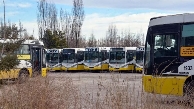 Autobuses Neuquén: denuncian el estado deplorable de las unidades y condiciones inhumanas de trabajo
