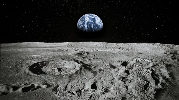 Plantas lunares: lograron cultivar una especie en tierra traída desde la Luna