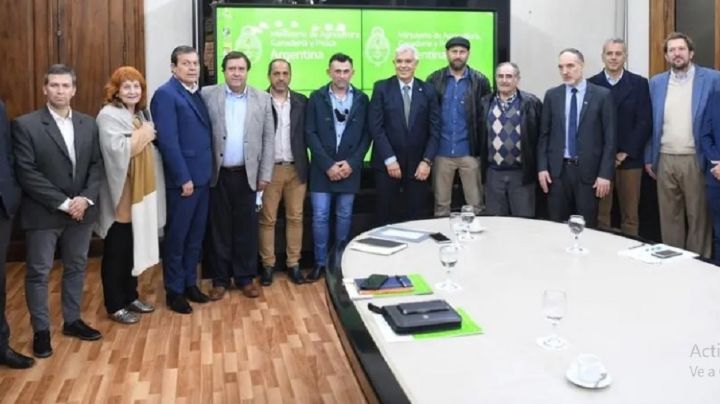 Beneficios impositivos para el sector productor rionegrino