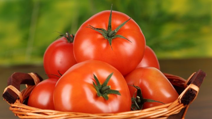 Modificaron genéticamente unos tomates para que produzcan tanta vitamina D como dos huevos