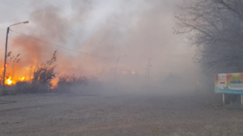 Se prendieron fuego cuatro hectáreas en Plottier