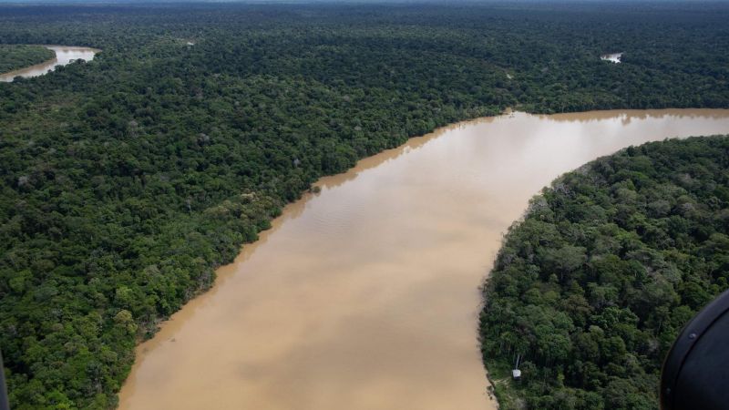 Una teoría que cobra fuerza: la pesca ilegal podría estar detrás de la desaparición en la Amazonía