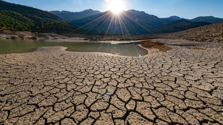 Tres de cada cuatro personas podrían vivir en sequía para 2050, según alerta la ONU
