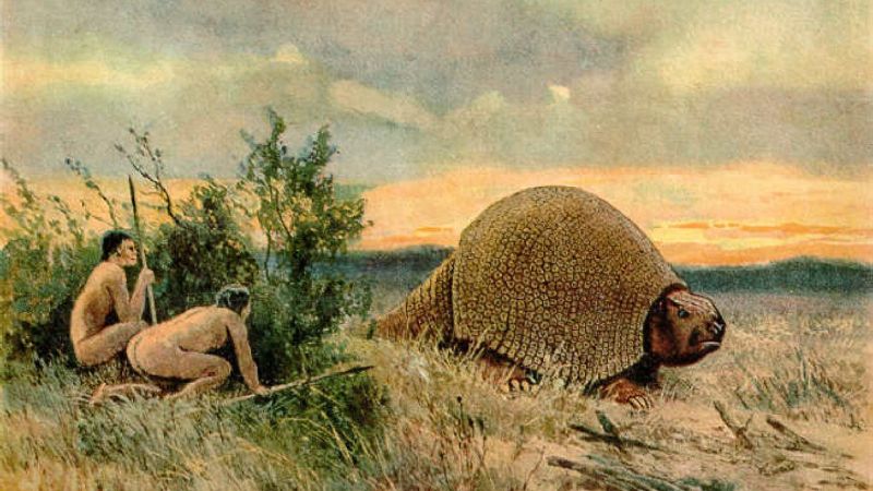Los humanos prehistóricos habrían influido en la extinción de los armadillos gigantes