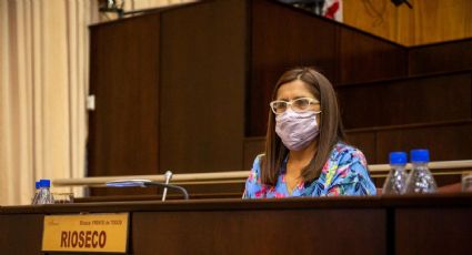 Teresa Rioseco propuso un programa provincial de prevención de intoxicación por monóxido de carbono