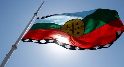 Mapuches izarán su bandera en la UNCo por segundo año consecutivo