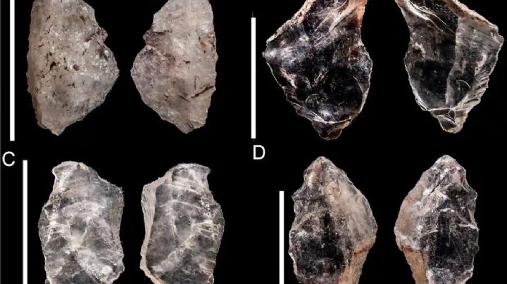 Una “navaja” de hace 65 mil años prueba que los ancestros de los humanos compartían el conocimiento