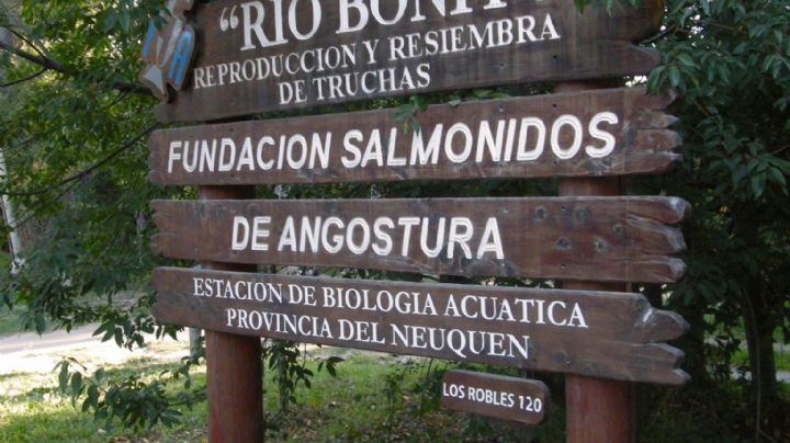 Villa La Angostura: ATE pide que se declare de interés municipal a la Fundación Salmónidos