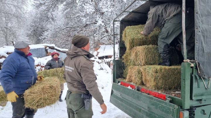 Gendarmería continúa con la asistencia tras el temporal de nieve