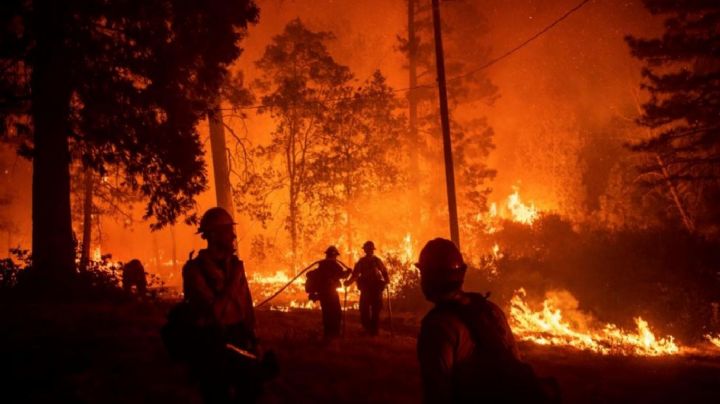 Invertirán 50 millones de dólares para combatir incendios forestales
