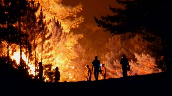 La cifra de la destrucción: los incendios forestales en España consumieron miles de hectáreas