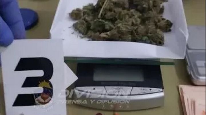 Un hombre llegó desde Chile y fue detenido en la cordillera con 10 dosis de marihuana en su poder
