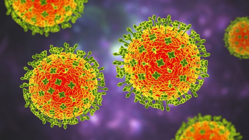 Henipavirus: se detectaron 35 casos de esta nueva enfermedad en China