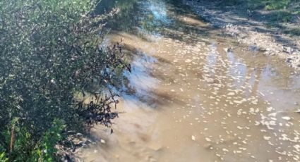 El EPAS responsabilizó al municipio de Villa La Angostura por el derrame de líquidos cloacales