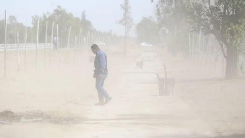 Clima: viento moderado a fuerte en Neuquén