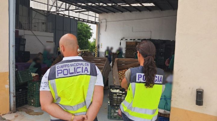 Explotación laboral en España: obligaban a migrantes a pelar cebollas durante 16 horas sin parar