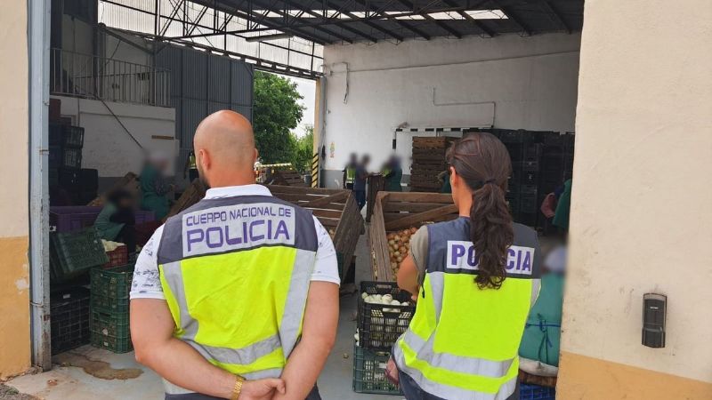 Explotación laboral en España: obligaban a migrantes a pelar cebollas durante 16 horas sin parar