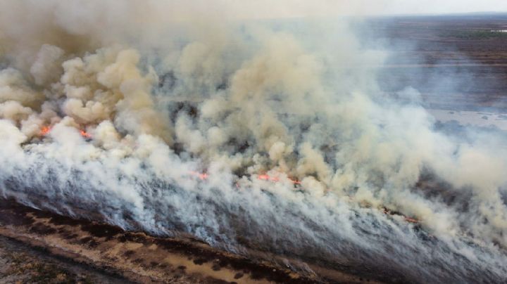 Hasta la NASA: los incendios en el Delta del Paraná pueden verse desde el espacio