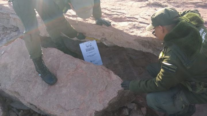 Gendarmería Nacional extrajo un resto fósil en el Lago Los Barreales