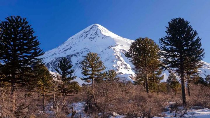Volcán sagrado: mapuches se manifestarán en la Intendencia del Parque Nacional Lanín