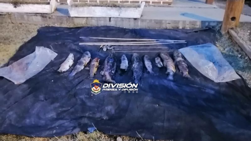 Secuestraron truchas a pescadores furtivos en el Nahuel Huapi