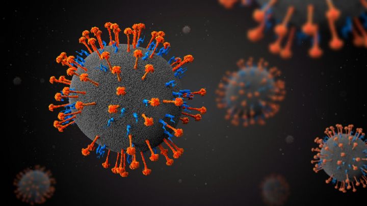 China detectó que 35 personas se contagiaron con un nuevo virus de origen animal