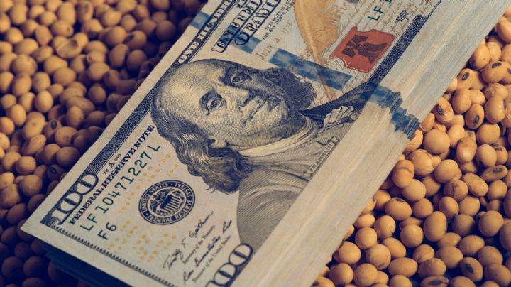 Dólar soja: se esperan ingresos de 2.000 millones de dólares