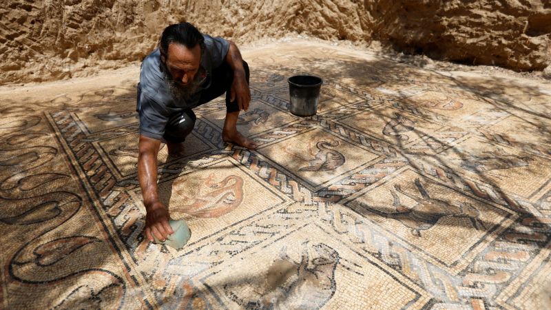 Plantaba olivos en Gaza y descubrió un mosaico bizantino de hace 1.500 años