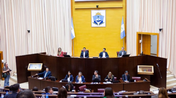 Unánime rechazo al atentado contra Cristina Fernández en la sesión especial de la Legislatura
