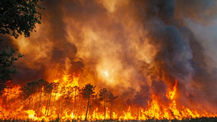 Francia detuvo a casi 50 personas por los incendios forestales que arrasaron miles de hectáreas
