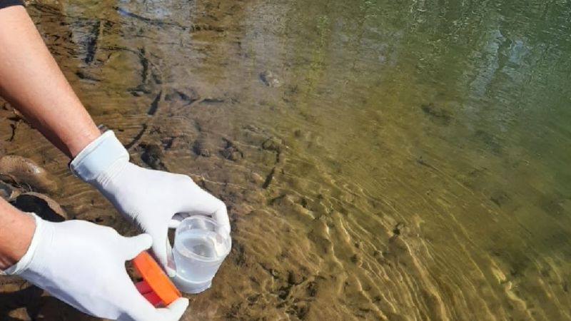 Contaminación en Centenario: buscan que la empresa Codam no vierta más sus cloacas en el río Neuquén