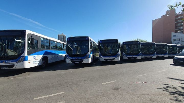 El miércoles 1 de febrero a las 5 de la mañana arranca COLE, el nuevo sistema de transporte