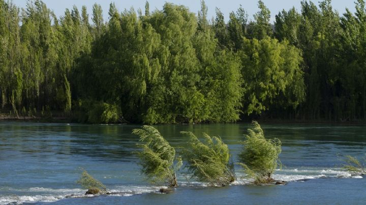 Clima en Neuquén: miércoles soleado en el valle e inestable en la cordillera