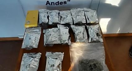 Gendarmería Nacional detuvo a un hombre que llevaba droga a San Martín de los Andes