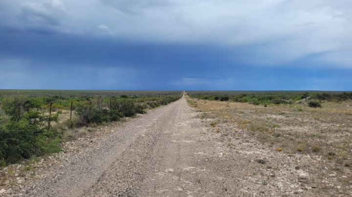 Aseguran que el norte de Río Negro hay una sequía histórica