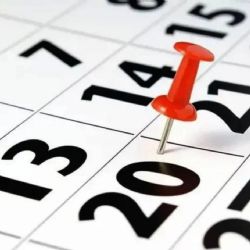 Feriado del 8 de diciembre: cómo funcionan los servicios públicos este viernes