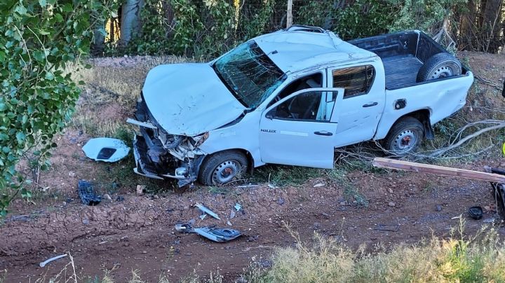 Choque y fuga en la ruta provincial 7: una camioneta terminó contra una alameda