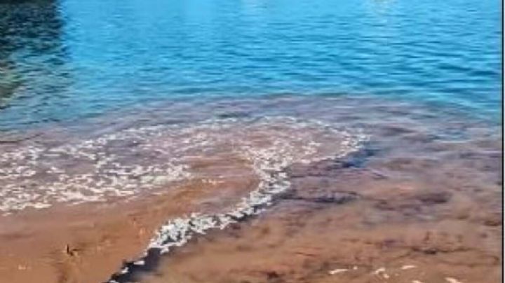 Denunciaron contaminación en el Lago Nahuel Huapi, sector Playa Las Balsas de Villa La Angostura