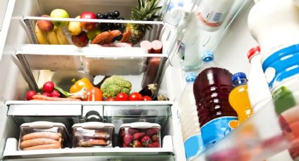 Tips para mantener limpia y ordenada la heladera durante todo el año