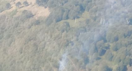 Se registraron dos focos de incendios en la zona norte del Parque Nacional Lanín