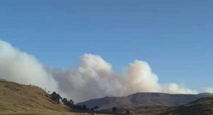 Un incendio forestal en Chile amenaza parajes neuquinos cercanos a Caviahue