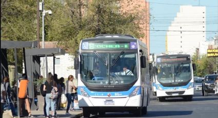 Paro nacional: qué pasará con el transporte público en Neuquén