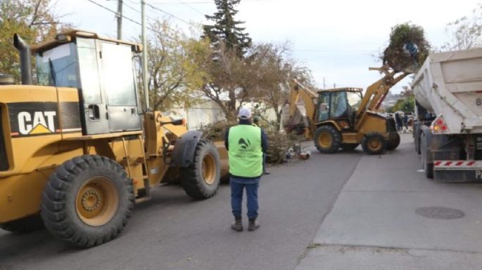 El operativo de limpieza municipal juntó 67 toneladas de residuos en Bouquet Roldán y Cumelén