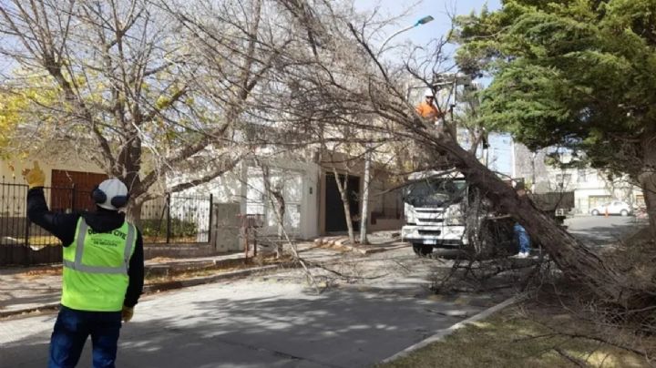 Por el fuerte viento se desprendió una garita que casi aplasta a una niña