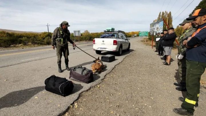 Con ayuda de un perro adiestrado, Gendarmería encontró cocaína y marihuana y detuvo a tres hombres
