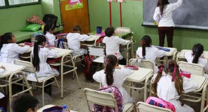 Ya son más de 30 las escuelas de la Ciudad de Buenos Aires que tienen ratas en sus establecimientos