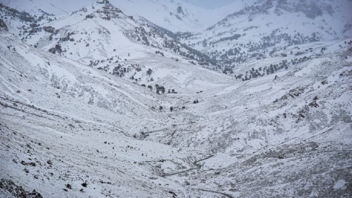 Emiten un alerta meteorológico por intensas nevadas en toda la cordillera de Neuquén